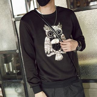 Street Affair Owl Appliqu  Pullover