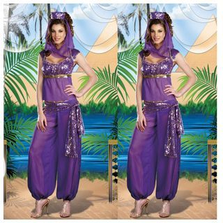 Cosgirl Belly Dancer Party Costume