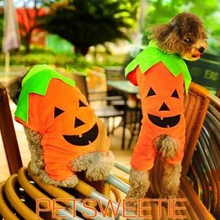 Pet Sweetie Dog Pumpkin Costume