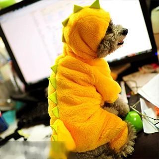 Pet Sweetie Pet Dinosaur Costume