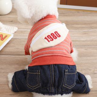 Pouch Accent Striped Pet Clothing