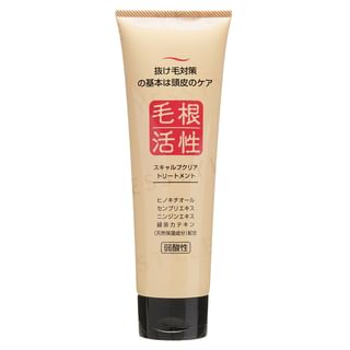 JUN COSMETIC - Root Activity Scalp Clear Treatment 250g