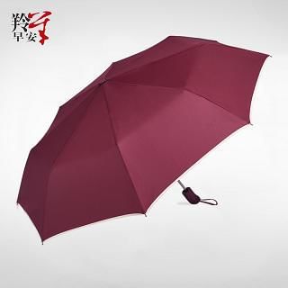 RGLT Scarves Foldable Umbrella