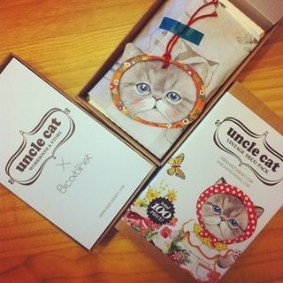 Full House Cat Bookmark Set / Stickers