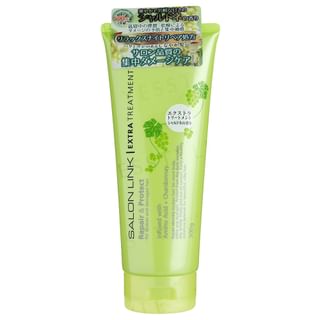 Kumano Cosme - Salon Link Repair & Protect Extra Treatment 300G
