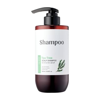 Mixsoon - And By Tea Tree Scalp Shampoo 500Ml