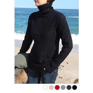 STYLEBYYAM Turtle-Neck Cable-Knit Top