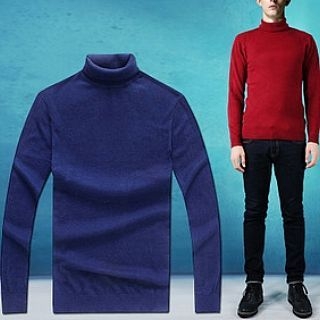 Evzen Turtleneck Sweater