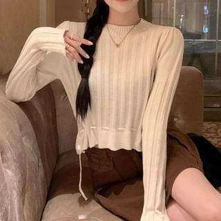 Long-Sleeve Crewneck Plain Crop Knit Top