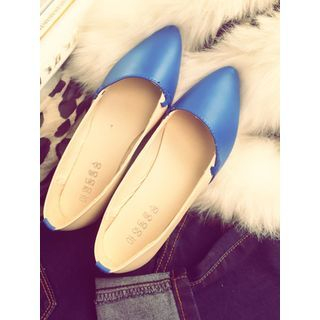 Chryse Two-tone Pointy Flats