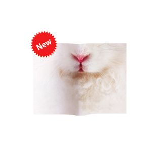 DREAMS Animal Mask Book Cover (Rabbit)