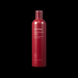 innisfree - Camellia Essential Shampoo 300ml