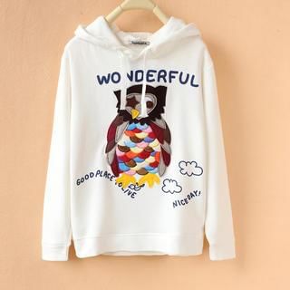 Cute Colors Owl Appliqué Hooded Pullover