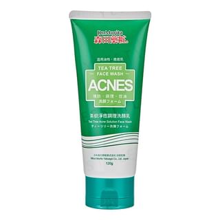 Dr. Morita - Acnes Tea Tree Face Wash 120G