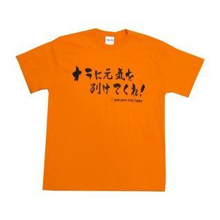 A.H.O Laborator Anime T-Shirt Dragon Ball 