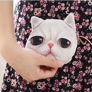 Class 302 Cat Coin Purse