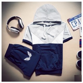 Danjieshi Set: Hooded Color Block T-Shirt + Sweatpants