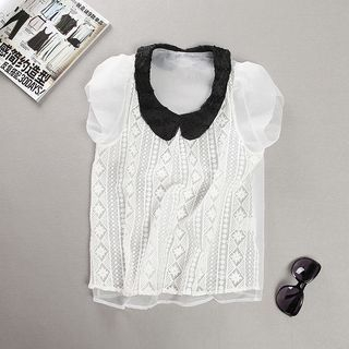 EVER Contrast Collared Short-Sleeve Lace Top