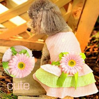 Pet Sweetie Dog Flower Accent Dress