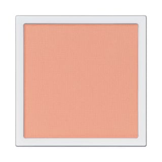 ADDICTION - The Single Eyeshadow Matte 006M New Skills