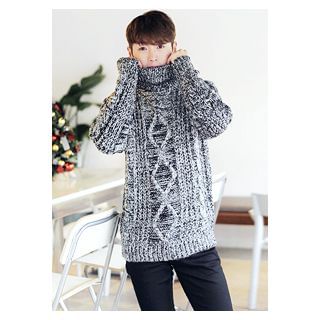 HOTBOOM Turtle-Neck Cable-Knit Sweater