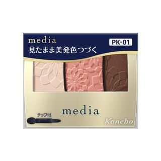 Kanebo - Media Gradient Color Eyeshadow PK-01
