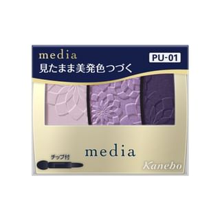 Kanebo - Media Gradient Color Eyeshadow PU-01