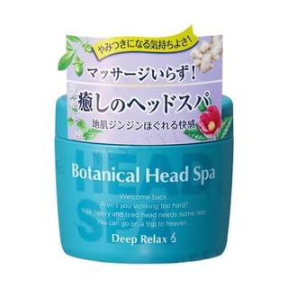 Ishizawa-Lab - Botanical Head Spa 270g 270g