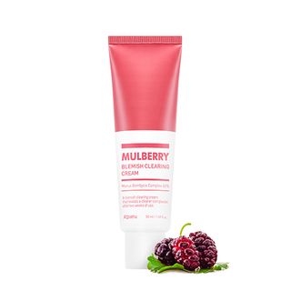 A'PIEU - Mulberry Blemish Clearing Cream 50ml