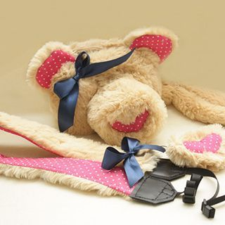 Plush Cam Bear DSLR Pouch with Camera Strap