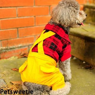 Pet Sweetie Plaid Collared Dog Dungaree