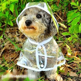 Pet Sweetie Pet Transparent Raincoat