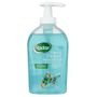 Radox Radox - Naturally Hygienic Clean and Protect Handwash 300ml