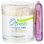 Ofresh Ofresh - Brushpick 600 pcs