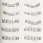 Eye's Chic Eye's Chic - Professional Eyelashes #3-830 (10 pairs) 10 pairs