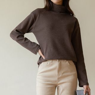 Mock / Turtle Neck Plain Top (2 Types)