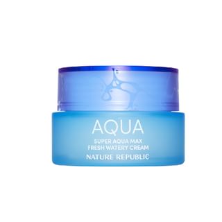 NATURE REPUBLIC - Super Aqua Max Fresh Watery Cream 80ml