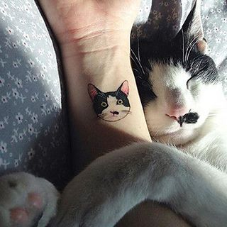 Tattoofield Cat Waterproof Temporary Tattoo tattoofield kopen in de aanbieding Tattoofield Cat Waterproof Temporary Tattoo tattoofield kopen in de aanbieding