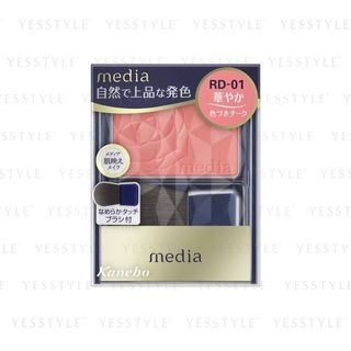 Kanebo Media Bright Up Cheek N Rd 01 3G kanebo kopen in de aanbieding
