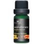 Pattrena Aromatherapy Essential Oil Sleepy Hollow 10Ml pattrena kopen in de aanbieding Pattrena Aromatherapy Essential Oil Sleepy Hollow 10Ml pattrena kopen in de aanbieding